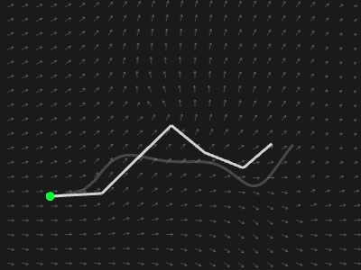 Euler method, 5 steps
